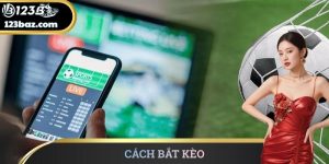 Cách bắt kèo